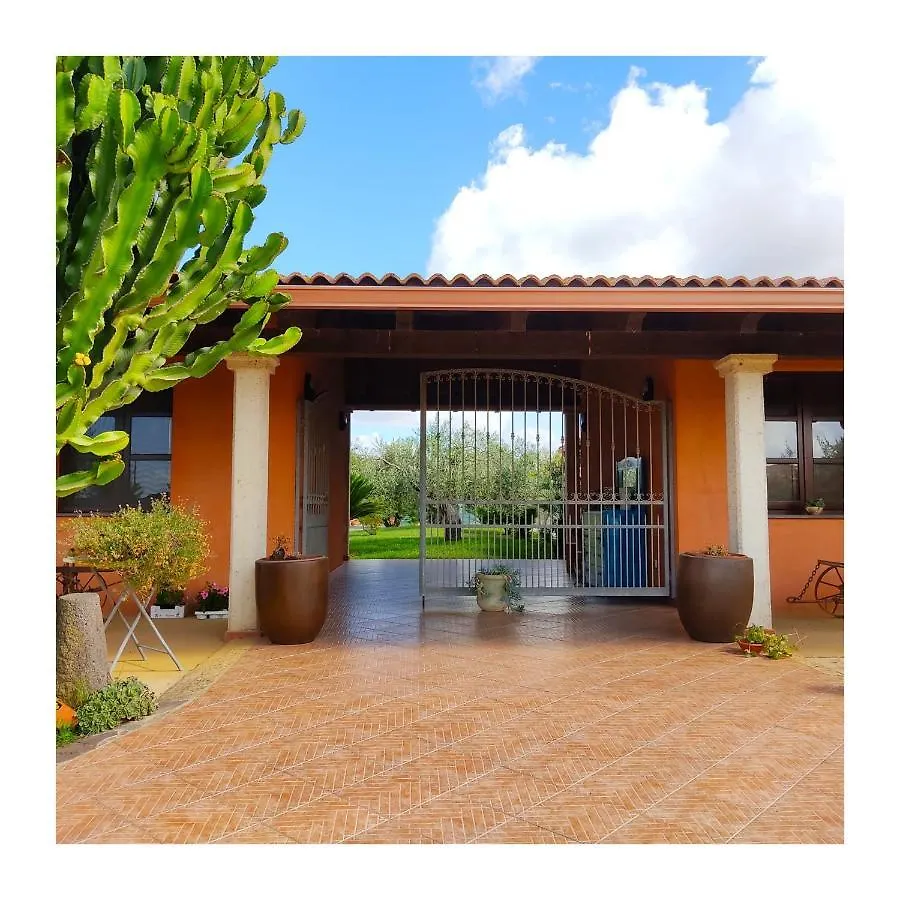 Agroturismo Cuccuruaio' B&B Siamaggiore Italia