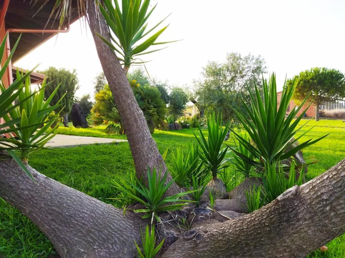 Agroturismo Cuccuruaio' B&B Siamaggiore