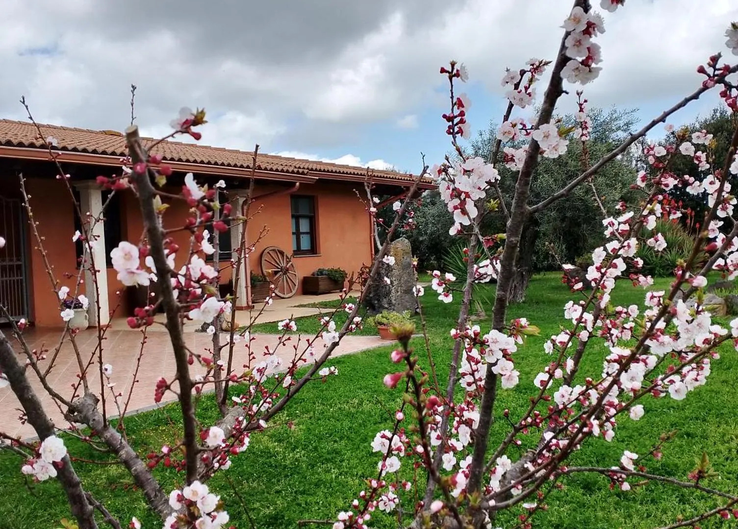 Cuccuruaio' B&B Siamaggiore Agroturismo